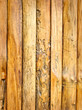 wood texture wood texture