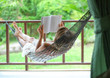 Photo: Rest Rest