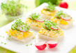 canape with egg, cucumber, radishes and cress