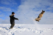 Boy and dog playing in snow