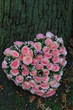Pink sympathy flowers in heart shape Pink sympathy flowers in heart shape
