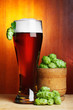 beer with fresh ripe hop still-life beer with fresh ripe hop still-life