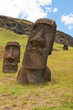 Moais at Rano Raraku volcano, Easter island (Chile)