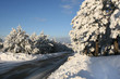 winter road