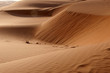 Abu Dhabi's dunes Abu Dhabi's dunes
