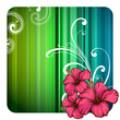 Hibiscus
