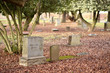 Photo: Tombstones in an old cemetery. Tombstones in an old cemetery.