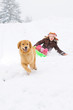 Foto: Golden Retriever Dog pulling a child on a snow sled Golden Retriever Dog pulling a child on a snow sled