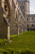 The cloisters of Salisbury cathedral