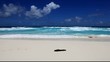 vagues et écume des plages de l'océan indien