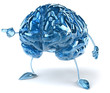 Cerveau