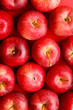 background with fresh red apples background with fresh red apples