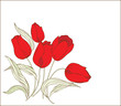 Red tulips Red tulips