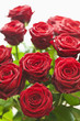 Foto: rote Rosen rote Rosen