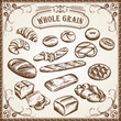 Vector Bakery Set Whole Grain