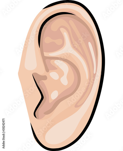 Vector: Human ear Human ear