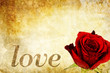 love rose card