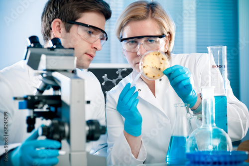 Photo: scientists analyzing germs growth on an agar plate scientists analyzing germs growth on an agar plate