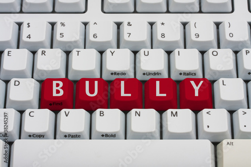 Photo: Bullying on the Internet Bullying on the Internet