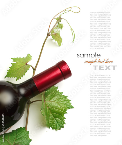 Photo: bottle of wine bottle of wine