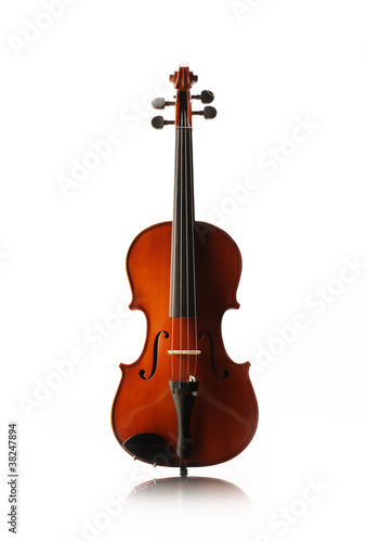 Photo: violin violin