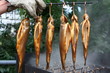 Frisch geräucherte Forellen