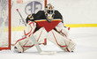 Ice Hockey Goalie