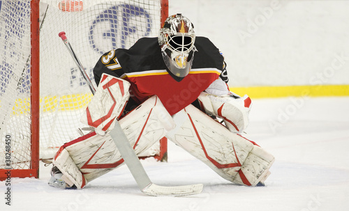 Photo: Ice Hockey Goalie Ice Hockey Goalie