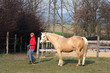 Pferd mit Trainerin 9