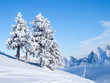 Winter in alps