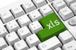 xls