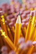 Pencil