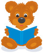 brown bear cub reading a blue book