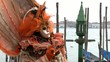 masked person in orange in front of venezian gondolas