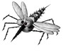 Illustration: Mosquito in flight Mosquito in flight