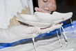 Ceramic making