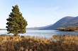 Killarney national park, kerry, Ireland