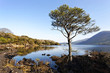 Killarney national park, kerry, Ireland