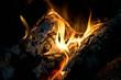 Feu de cheminée