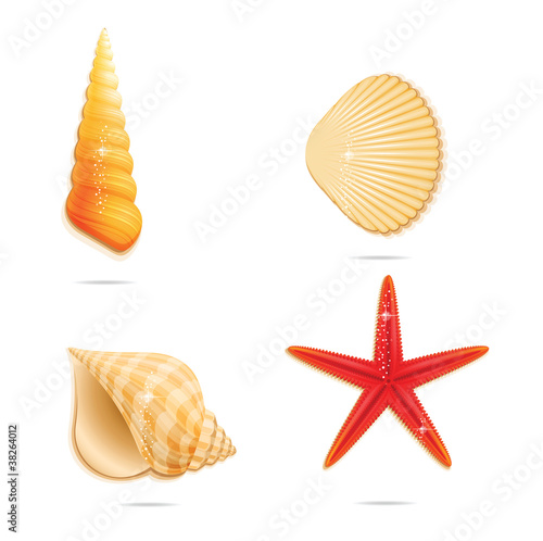 Vector: shiny sea sign set on the white shiny sea sign set on the white