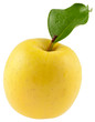 pomme golden pomme golden