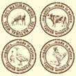 grunge stamp - made in nature