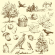 autumn-hand drawn set