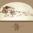 hand drawn vineyard