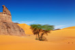 Sand dunes of Sahara Desert, Algeria