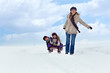 Winter fun on a sleigh