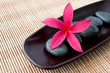 Tropical Plumeria Frangipani with spa stone on bamboo mat for sp