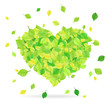 Leaves forming the shape of a heart