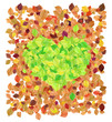 Leaves forming the shape of a heart