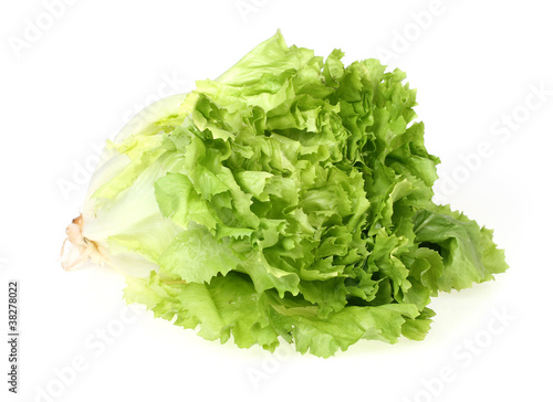 Photo: Endivien Salat freigestellt Endivien Salat freigestellt
